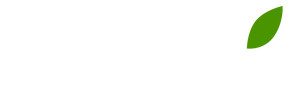 Последний из Магикян (сезон 4)