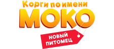 Корги по имени Моко. Новый питомец